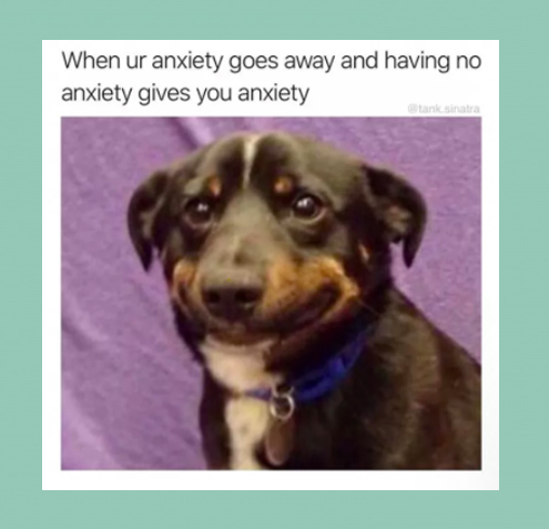 A picture of a brown dog making a derp face that says "When your anxiety goes away and having no anxiety gives you anxiety."