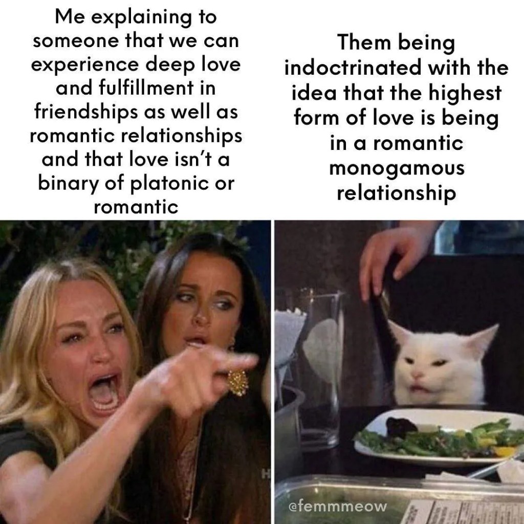 The angry women and smirking cat meme. On the left: "Me explaining to someone that we can experience deep love and fulfillment in friendships as well as romantic relationships and that love isn't a binary of platonic or romantic." On the right: "Them being indoctrinated with the idea that the highest form of love is being in a romantic monogamous relationship."