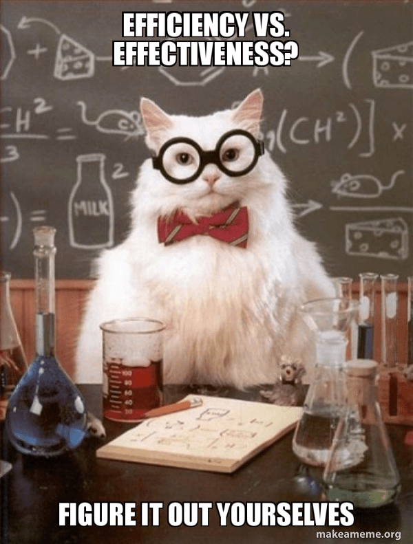 The cat-wearing-glasses-and-a-bowtie meme, reading "Efficiency vs effectiveness?"