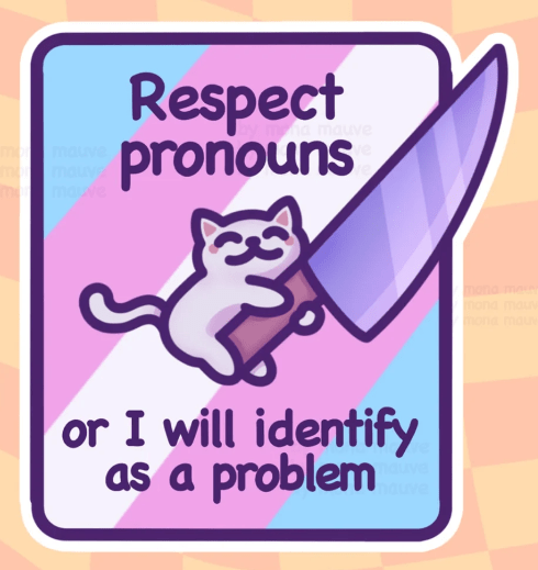 A cartoon cat with a large knife, captioned: "Respect pronouns, or I will identify as a problem."