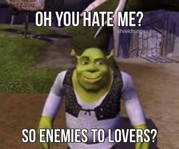 An image of Shrek with the caption: "Oh, you hate me? So, enemies to lovers?"
