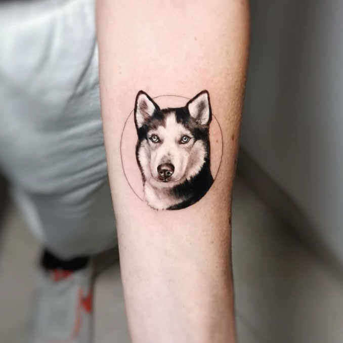 A tattoo of a Siberian Husky on someone's arm.