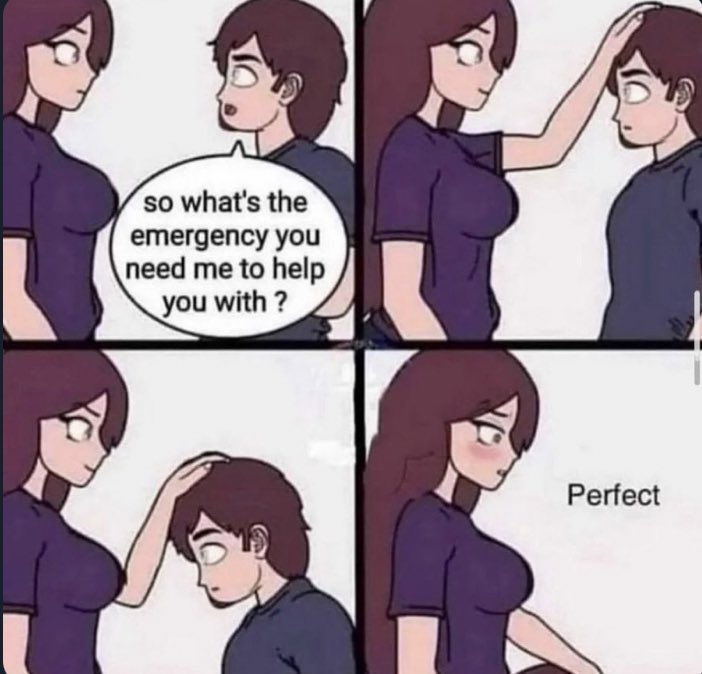 A comic with a man and a woman. He asks, "so what's the emergency you need me to help you with?" She pushes him down until he's going down on her, and then says "perfect".
