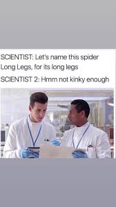 Scientist 1: Let's name this spider Long Legs, for its long legs.
Scientist 2: Hmmm, not kinky enough.