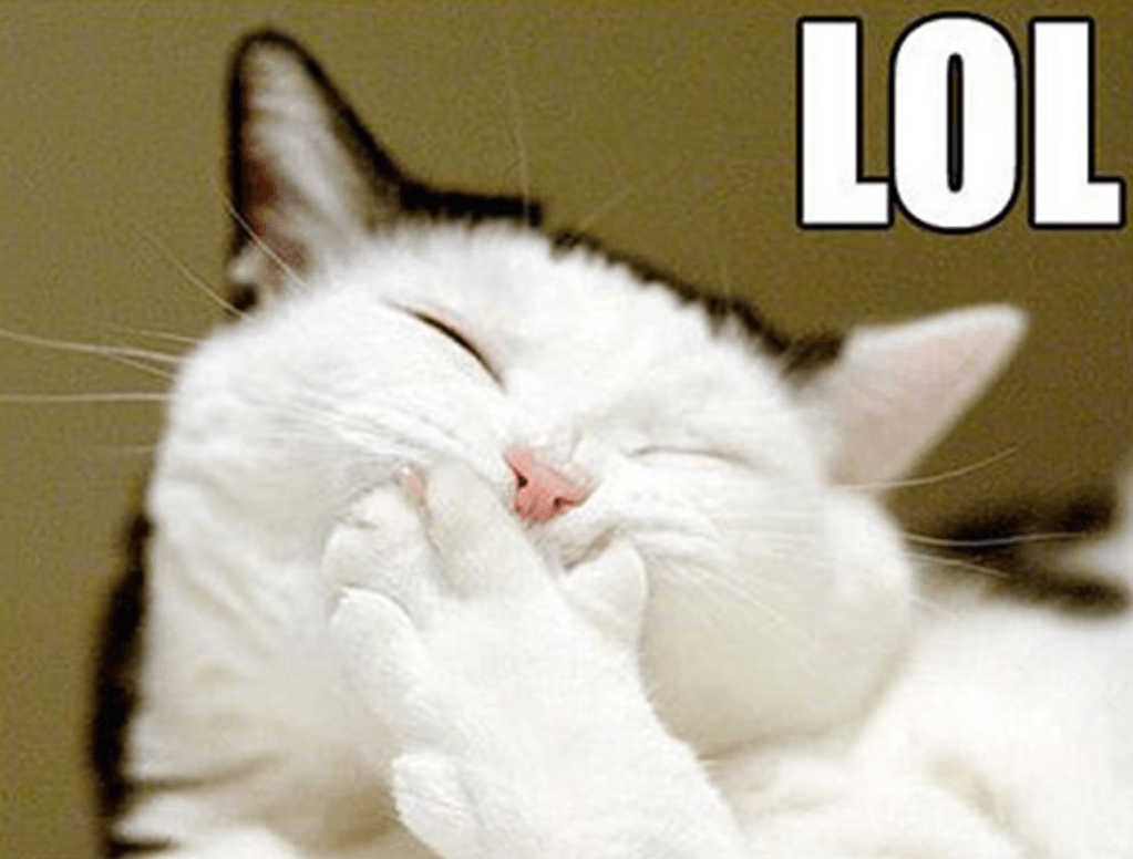 A white cat with a paw over its mouth and the caption "LOL".