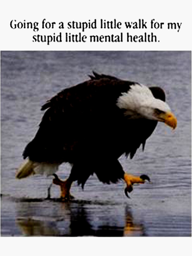 The angry eagle "stupid little walk" meme.