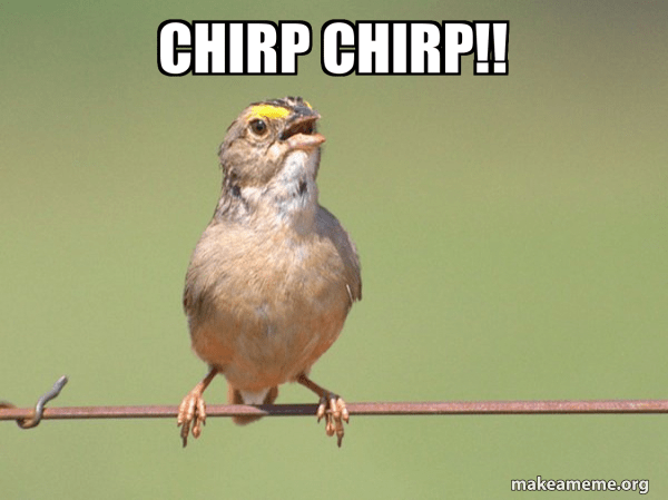 A bird saying "chirp chirp".
